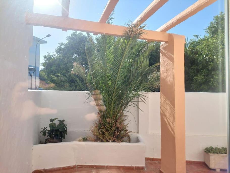 Piscina, Wifi, Patio Con Vistas Apartamento Tarifa Exterior foto